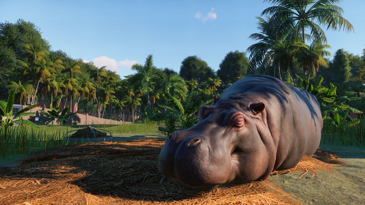 Planet Zoo Review 2