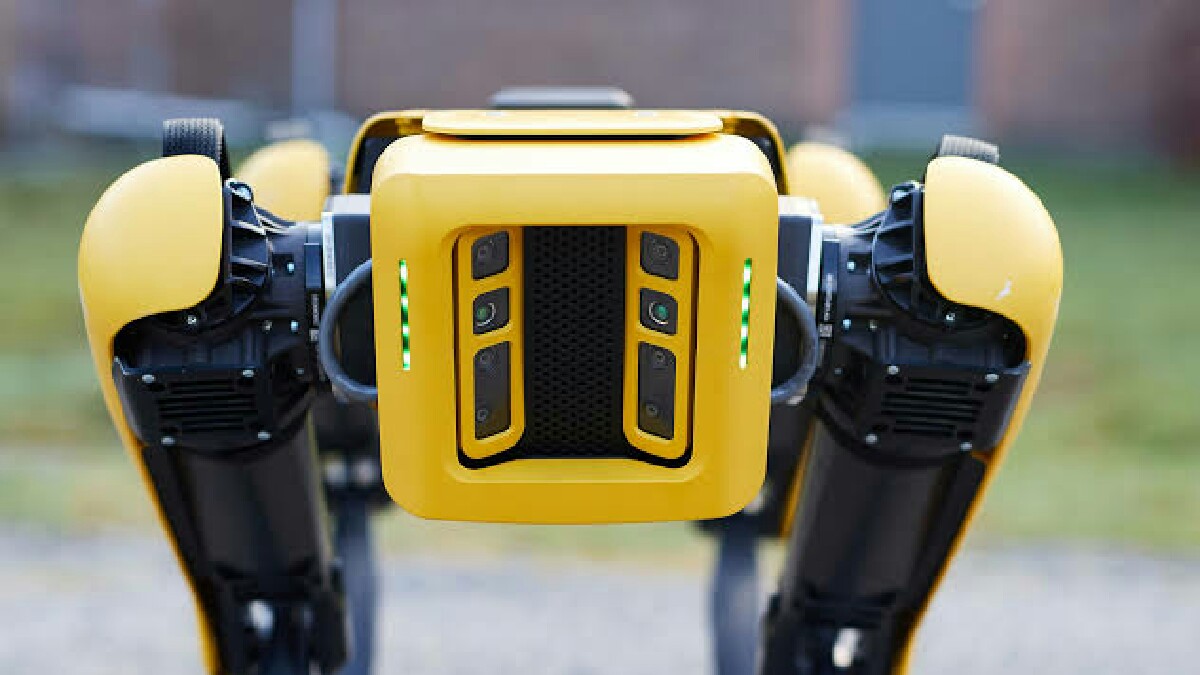 Boston Dynamics robotak kalean lehorreratu ziren: Hona hemen irudi interesgarri horiek
