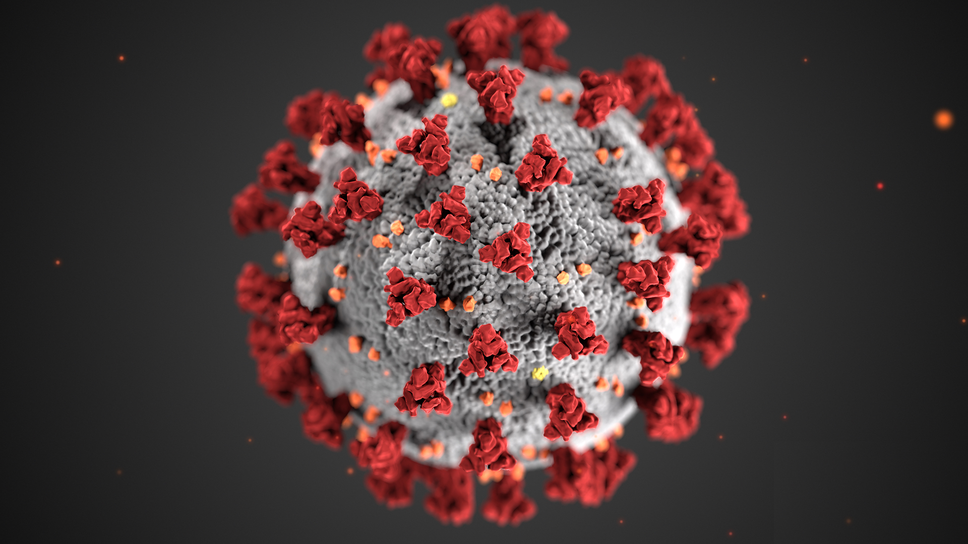 Turkiako koronaviroaren mapa eskuragarri dago orain.

