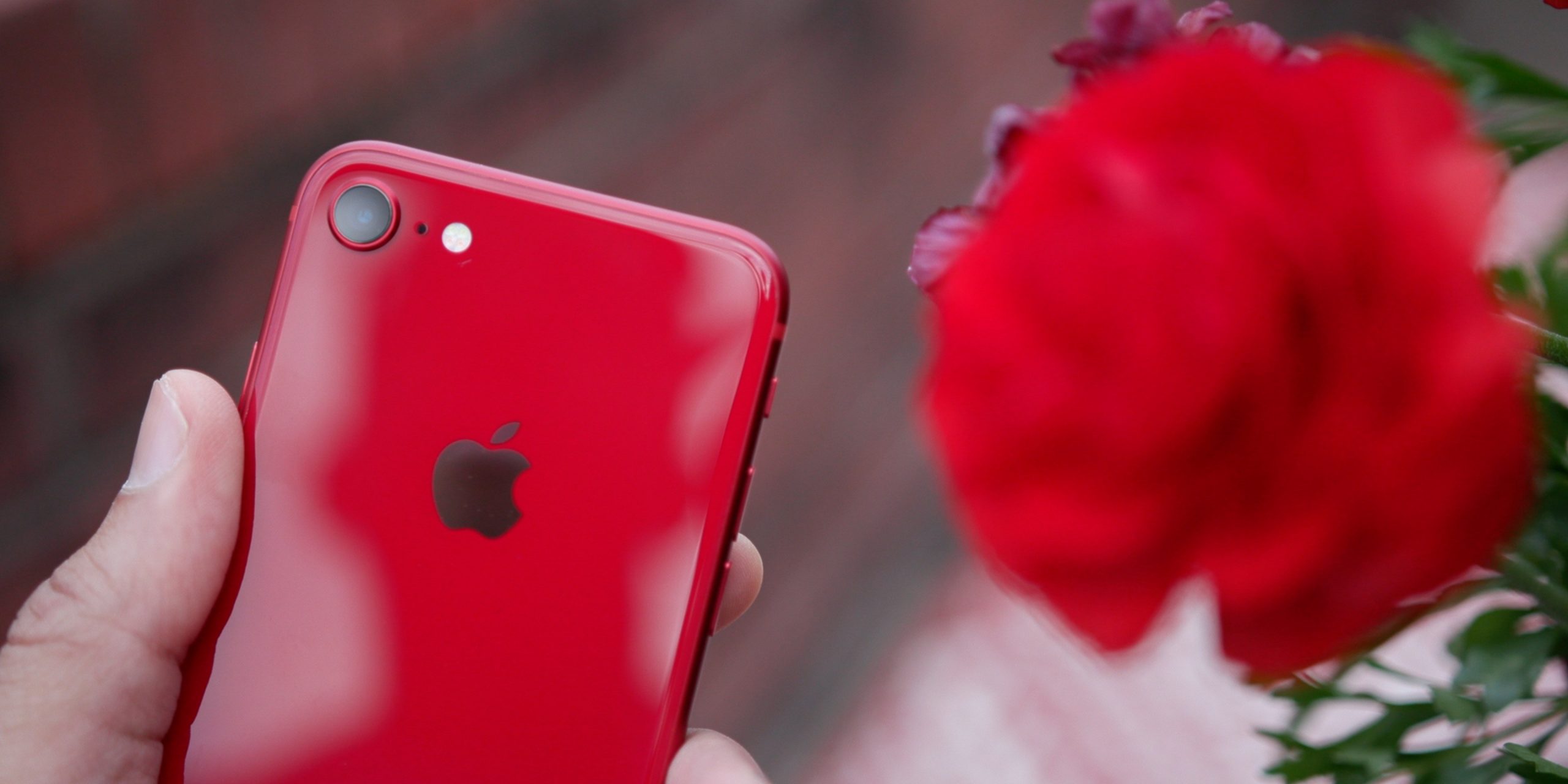 iPhone berriro erosi programa Turkian hasi zen!
