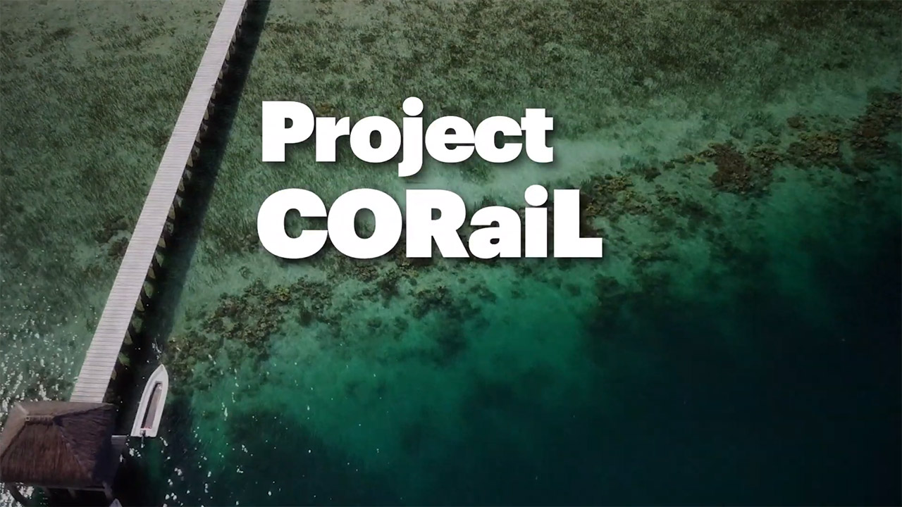 Intelek CORaiL proiektua aurkeztu du - koralezko arrezifeak erreskatatzeko adimen artifiziala
