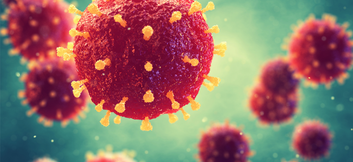  Immunologoak koronavirusari buruzko galderak erantzuten ditu.  Ezagutza dosi izugarria
