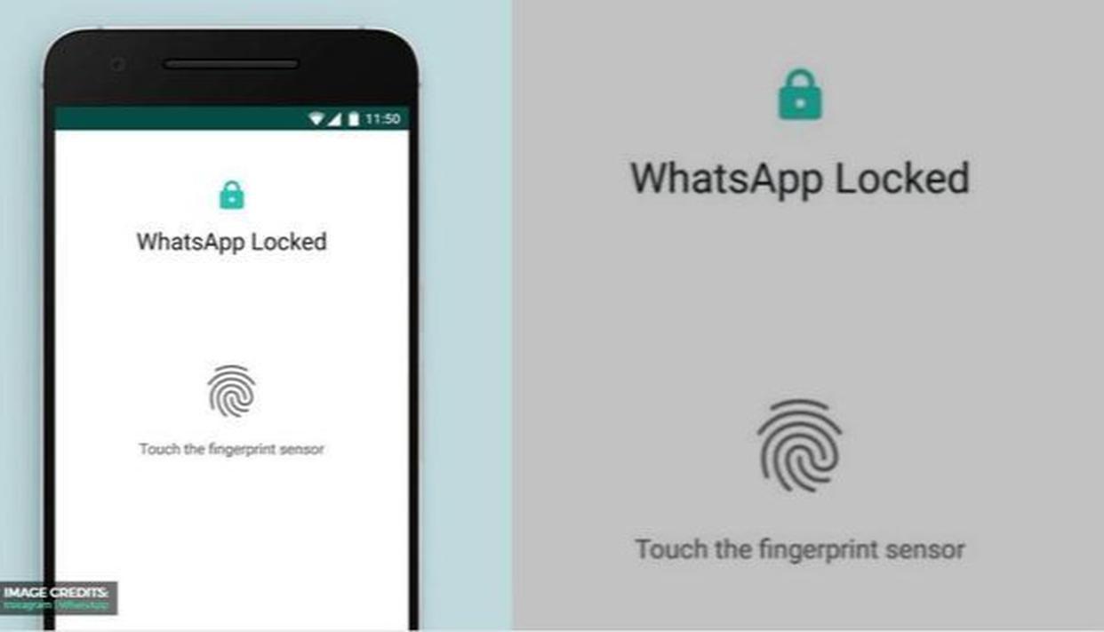 4 duela hilabete batzuk


WhatsApp pribatutasun ezaugarriak eta ezarpenak zure txatak eta informazioa seguru mantentzen laguntzeko
