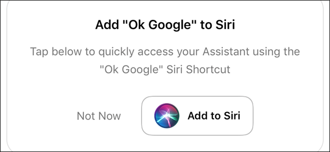 Egin Siri Suck Less gutxiago Erabiltzeko esanez Google Assistant 1