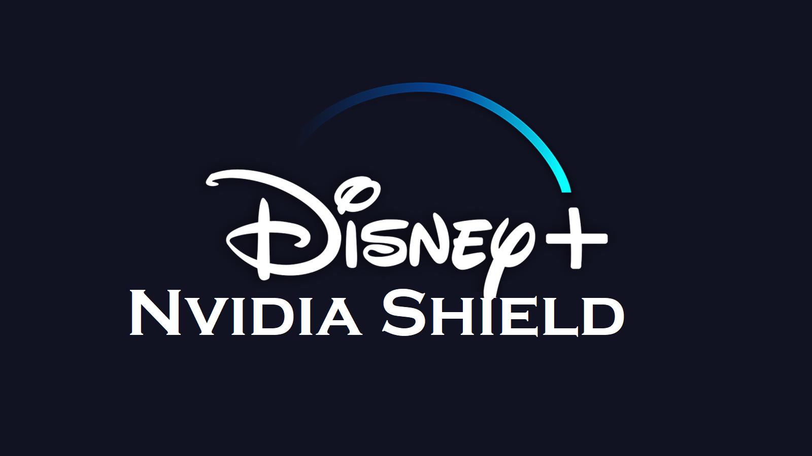 Nola lortu Disney Plus Nvidia Shield-en [2 Working Methods]
